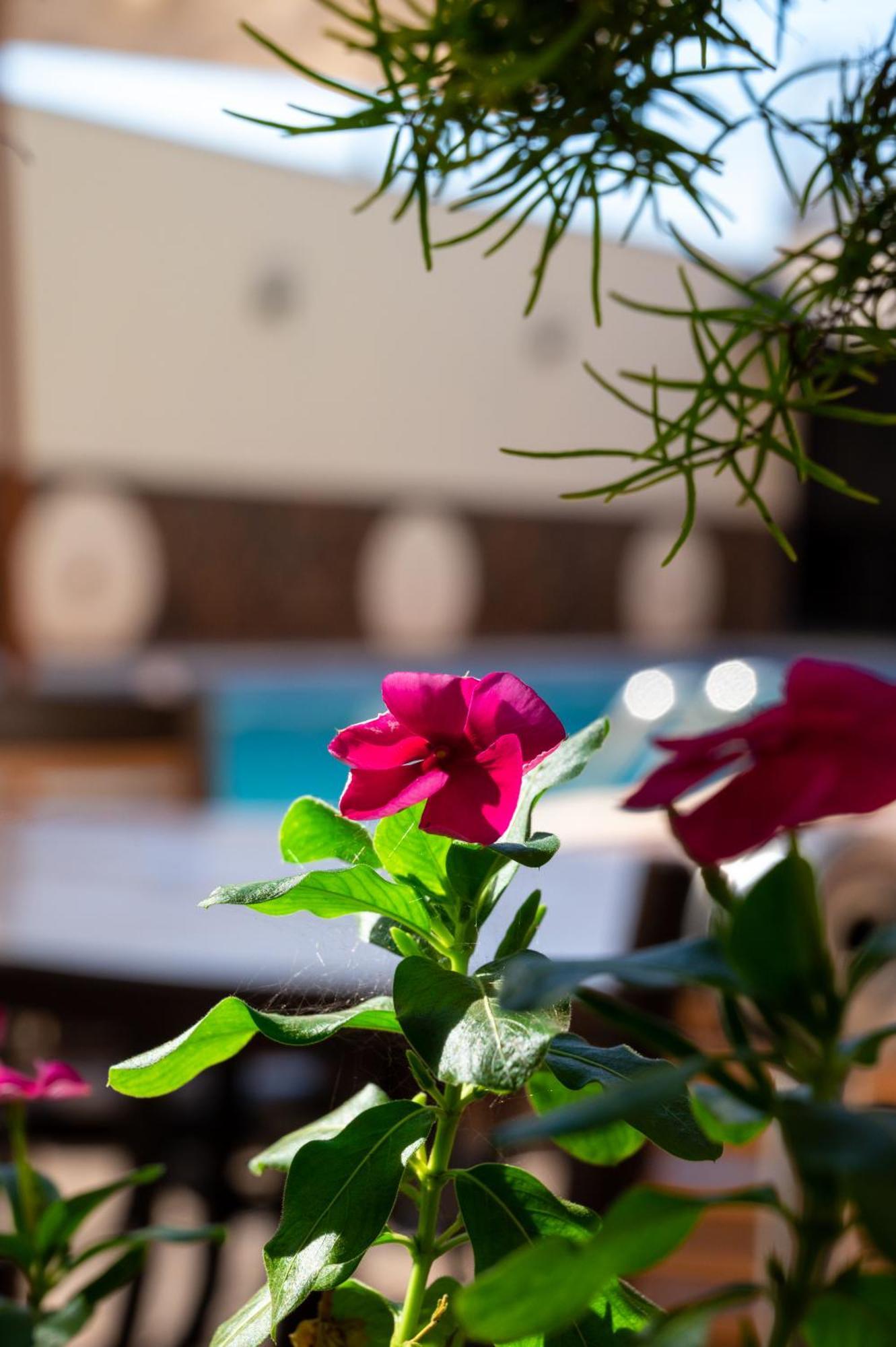Hotel 365 Cuiabá Zewnętrze zdjęcie